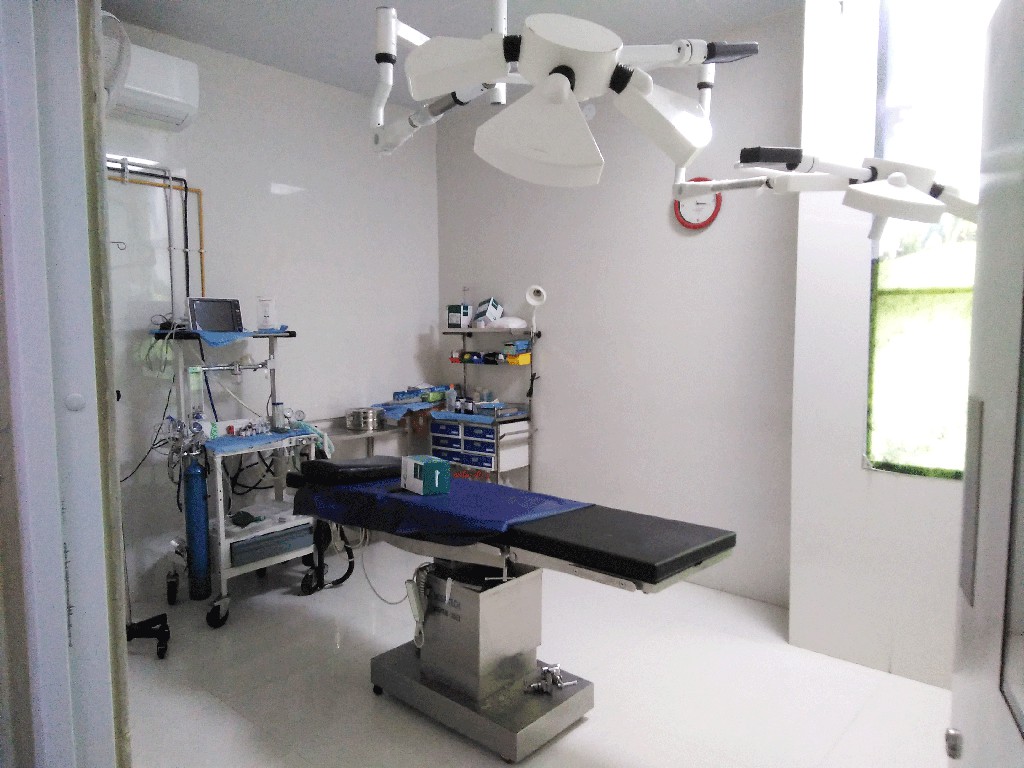 anushka hospital bellary